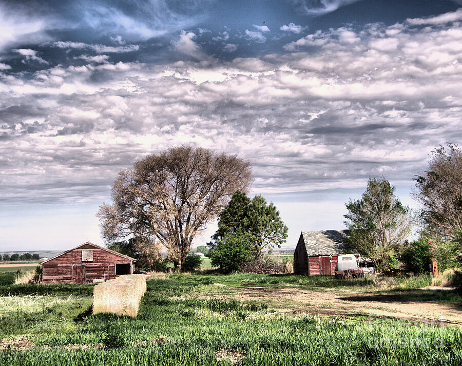 Rural scenery Photograph by Jeff Swan