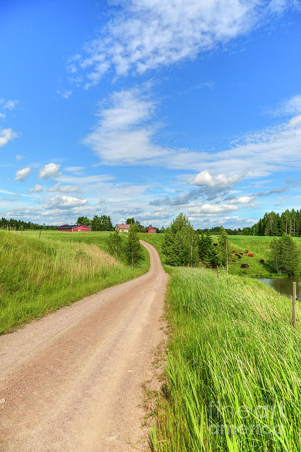Nature Photograph - Rural scenery by Veikko Suikkanen