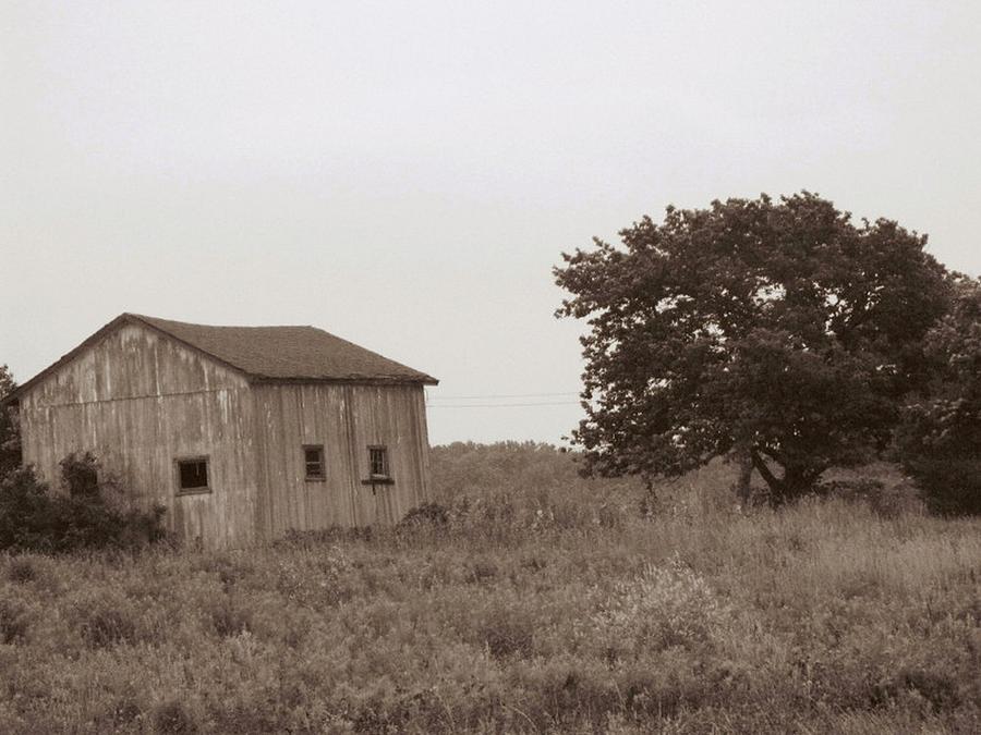 Rural Shack Photograph by Rhonda Barrett