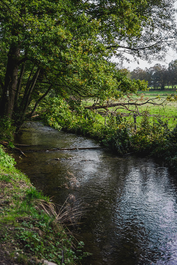Rural Stream Landscape Photograph