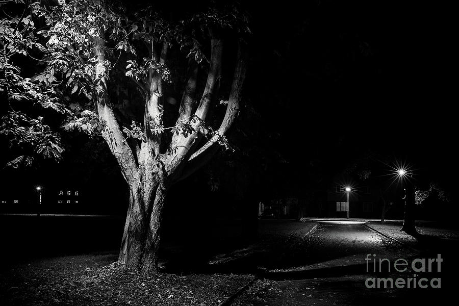 Rural street life at night Photograph by Simon Bratt