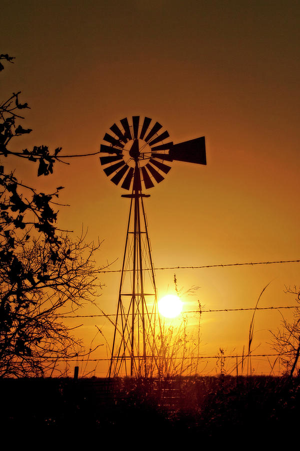 Rural Sunset by CE Haynes Rural Sunset by CE Haynes