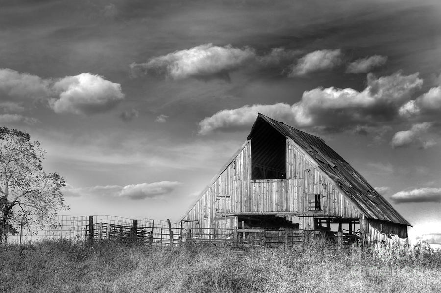 Rural Photograph by Thomas Danilovich