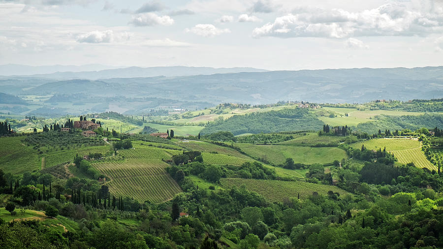 Rural Tuscany Photograph by Catherine Reading