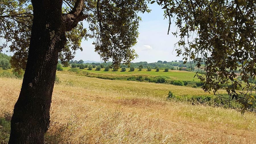 Rural Tuscany Photograph by Valentino Visentini