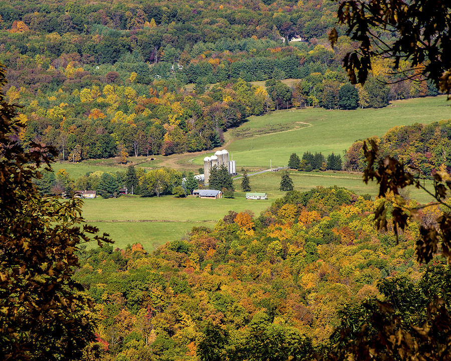 Rural Virginia Photograph by Tom Clark - Fine Art America