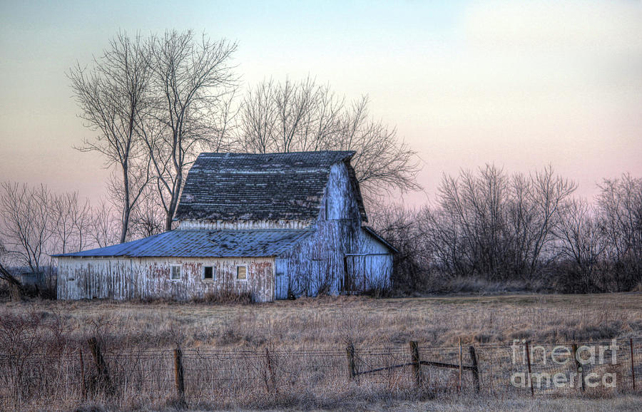 Rural White Photograph by Thomas Danilovich