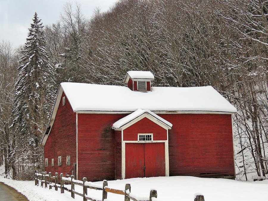 Winter Photograph - Rural Winter by Carol McGrath Winter Photograph - Rural Winter by Carol McGrath