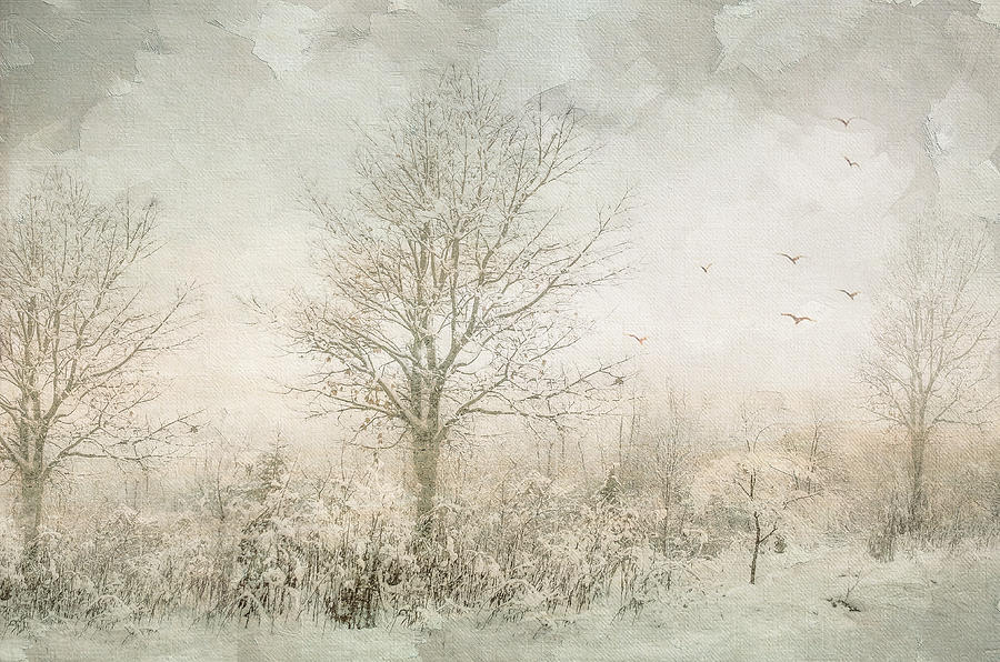 Winter Photograph - Rural Winter Landscape by Julie Palencia