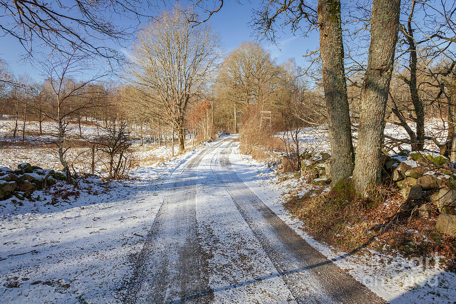 Winter Photograph - Rural winter road by Sophie McAulay