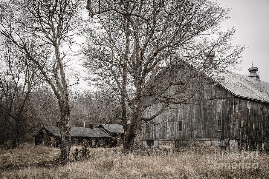 Rural Wooden Structures Photograph by Joann Long