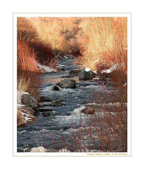 Provo Photograph - Rush - Provo River Study by Kate Watkins Provo Photograph - Rush - Provo River Study by Kate Watkins