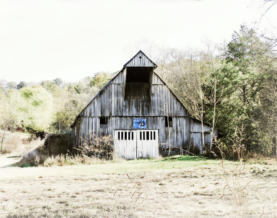 Cow Photograph - Rush Creek Farm by Julie Hamilton