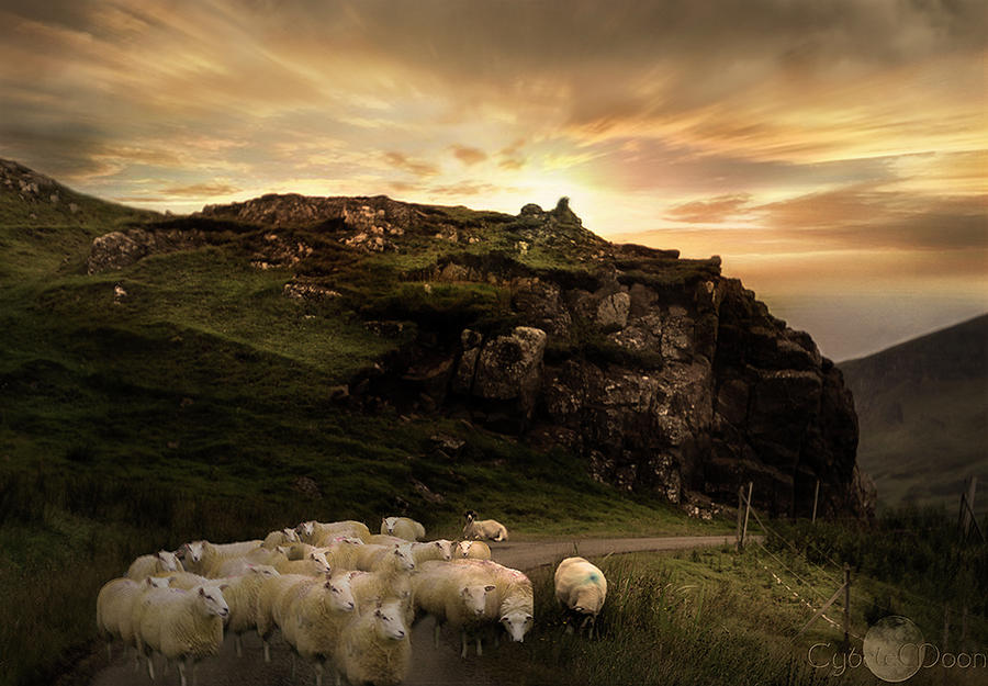 rush hour on the Isle of Skye Photograph by Cybele Moon