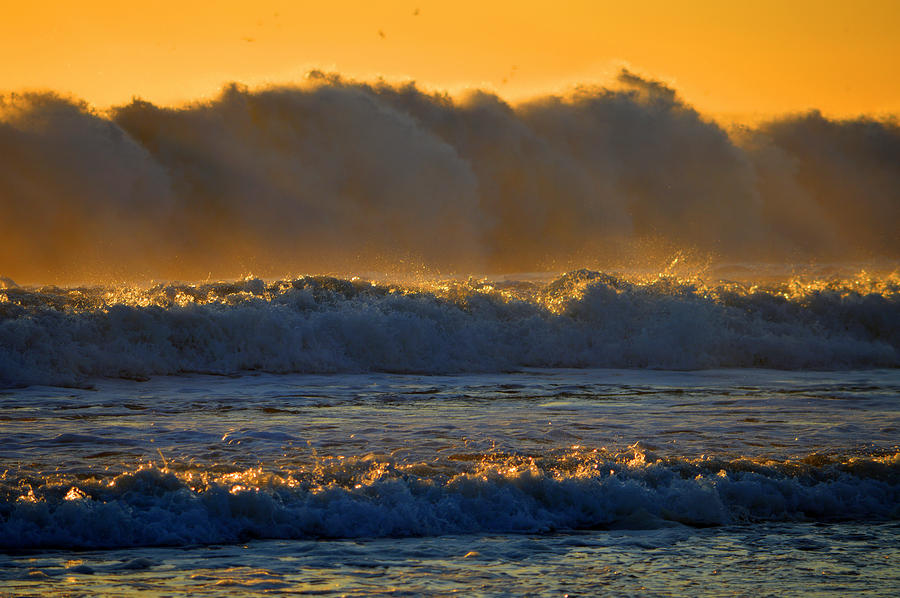 Rush of Gold Photograph by Dianne Cowen Cape Cod Photography