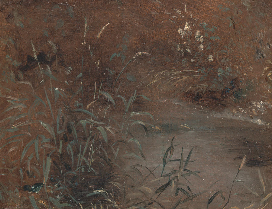 Rushes by a pool Painting by John Constable