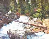 Colorado Painting - Rushing River by Ed Slack Colorado Painting - Rushing River by Ed Slack