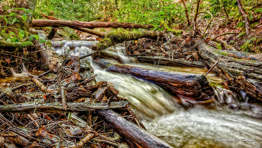 Rushing Stream Photograph by Christopher Holmes