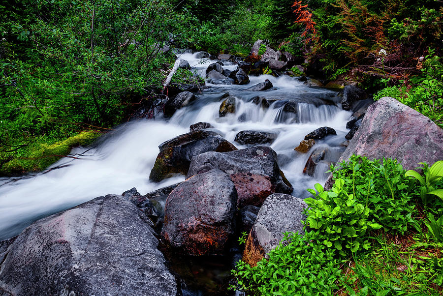 Rushing stream in Mt Rainier National Park Photograph by Vishwanath Bhat