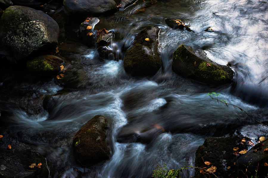 Rushing Stream Photograph by Norman Reid