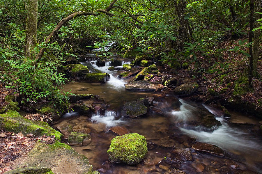 Nature Photograph - Rushing Stream Through Appalachian by Panoramic Images