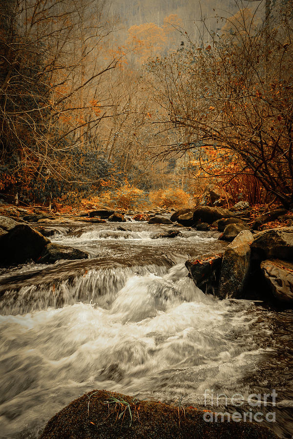 Rushing Water in Mountain Stream Photograph by Tom Claud