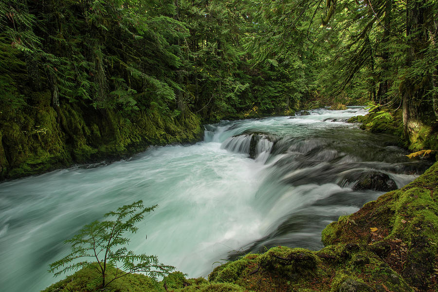 Rushing Water Photograph by Terry Dorvinen - Fine Art America