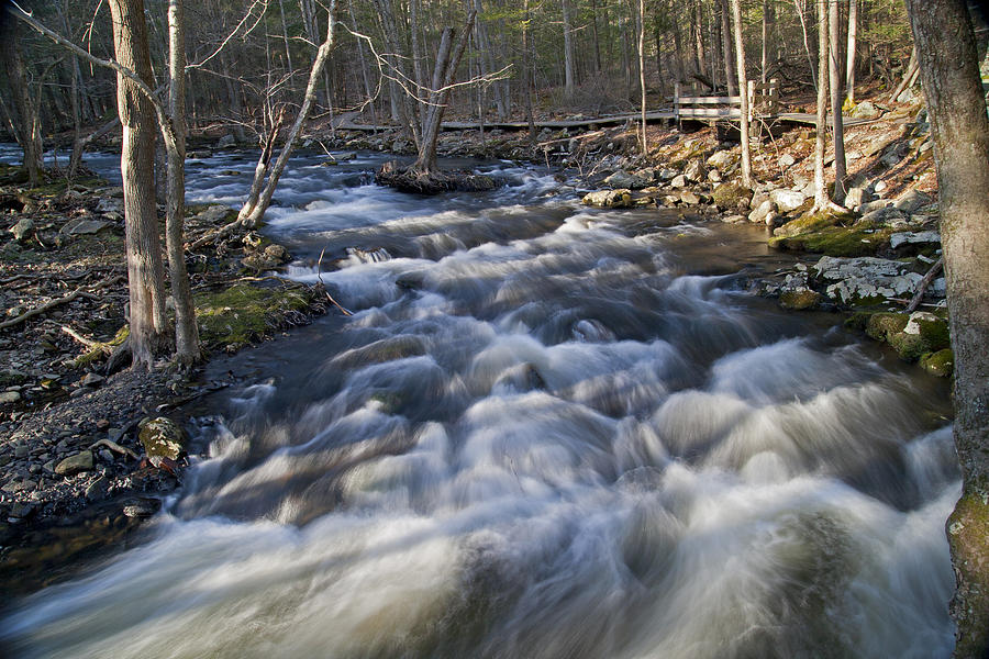 Rushing waters Photograph by David Freuthal