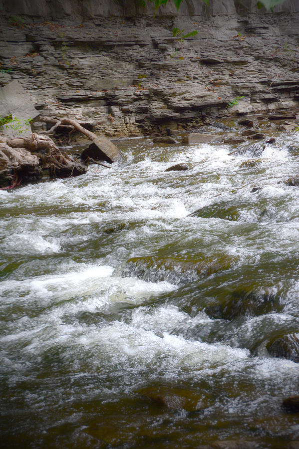 Rushing Waters Photograph by Judy Hall-Folde