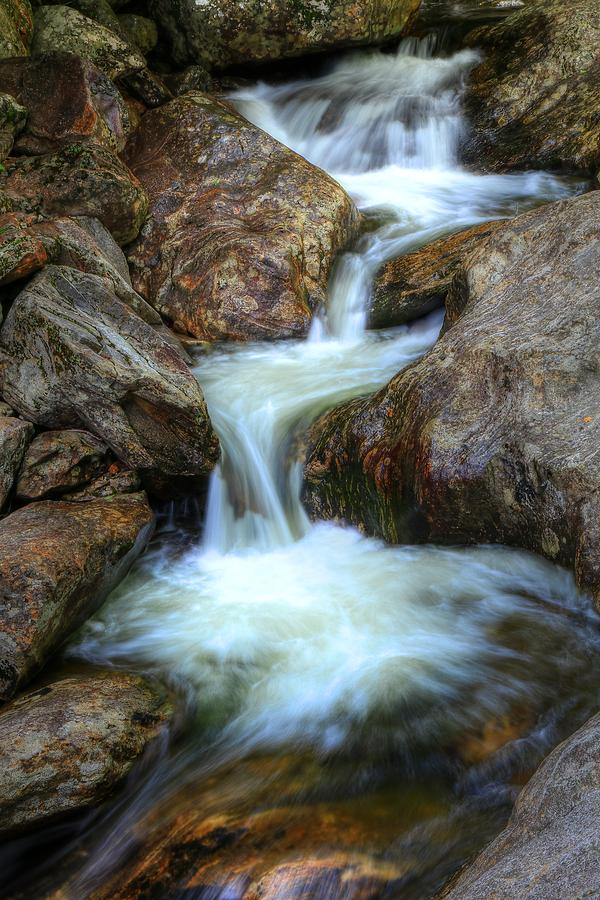 Rushing Waters Of The Smoky Mountains Photograph by Carol Montoya