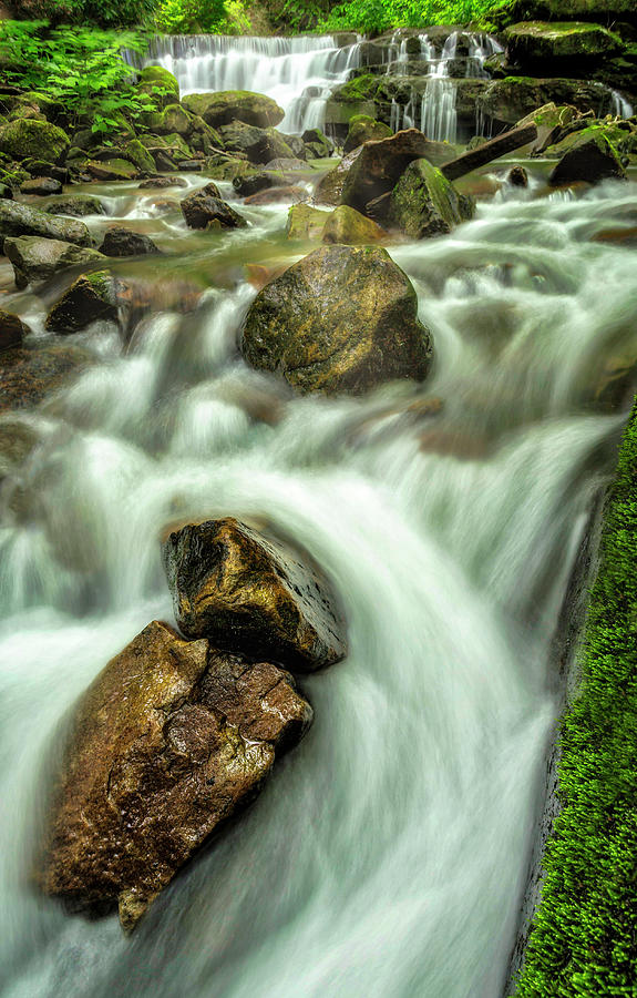 Waterfall Photograph - Rushing Waters by Will Moneymaker