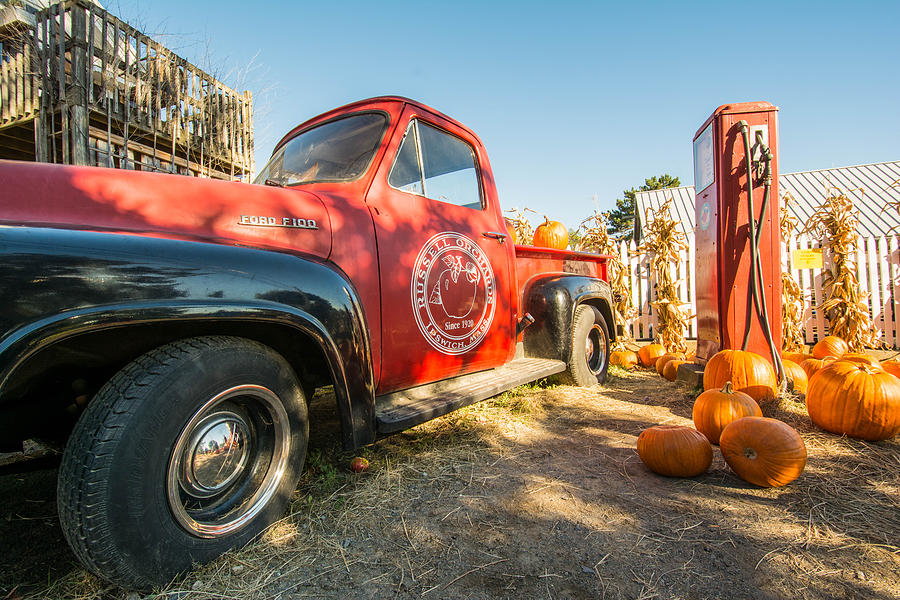 Russell Orchards 1954 Ford F100 Vintage Truck with Pumpkins, Ipswich, MA Photograph by Nicole Freedman