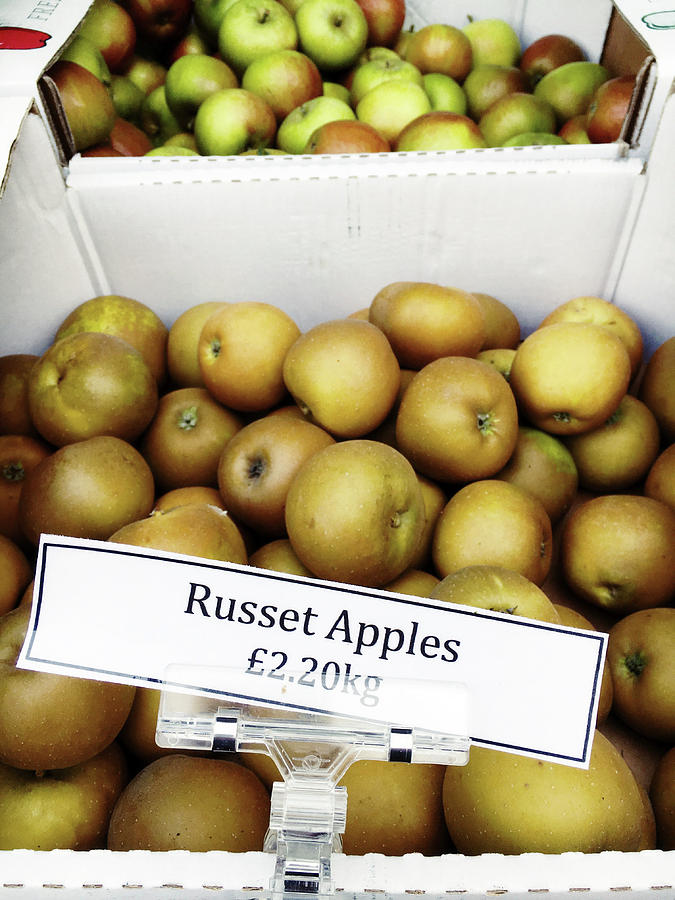 Apple Photograph - Russet apples for sale by Tom Gowanlock