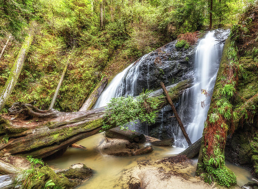Russian Gulch State Park Waterfall Photograph by Donnie Whitaker