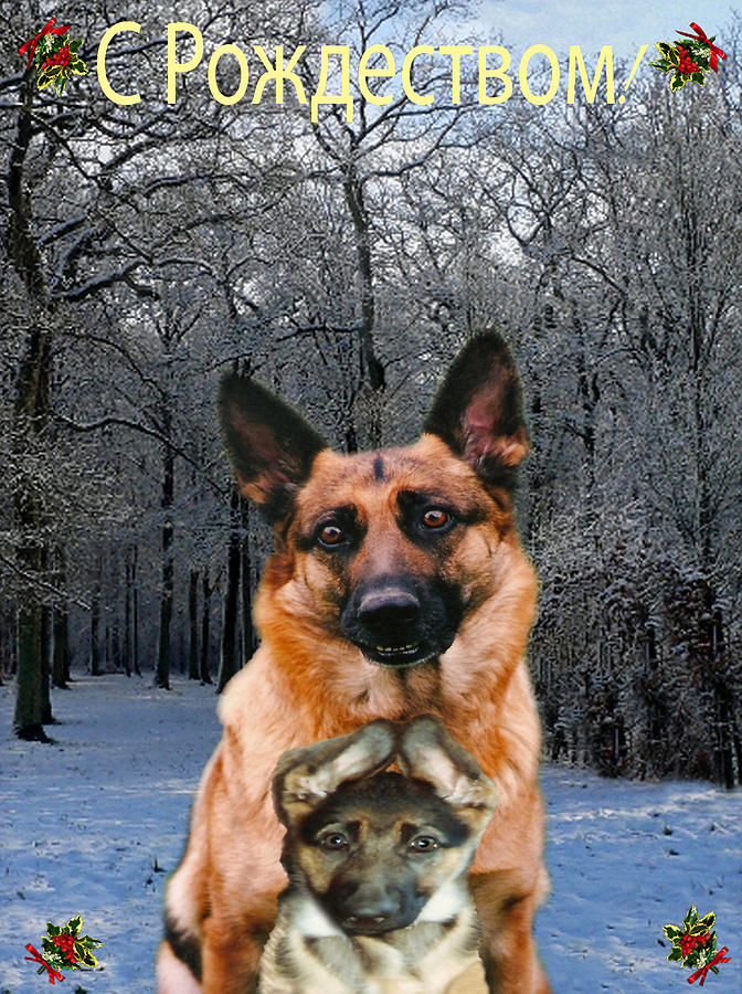 Hollywood Mixed Media - Russian Holiday German Shepherd and puppy by Eric Kempson