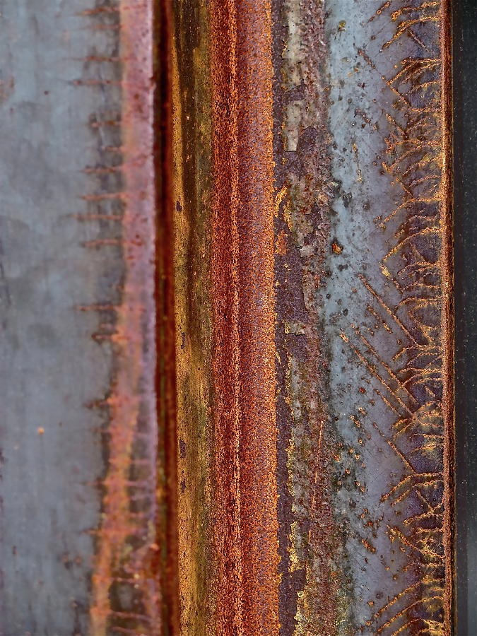 Rust 2 Photograph by Bonnie See