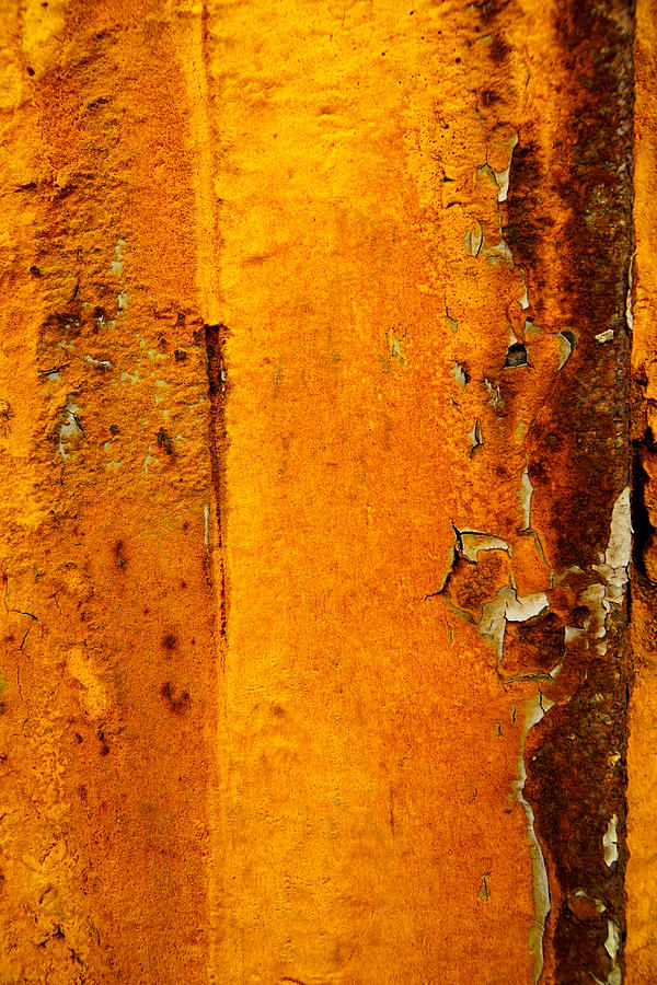 Rust abstract 2 Photograph by Lilia S