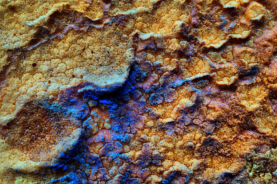 Rust abstract 5 Photograph by Lilia S