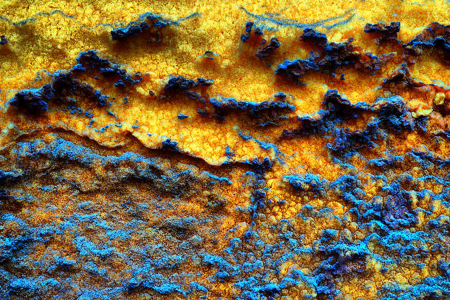 Rust abstract 8 Photograph by Lilia D