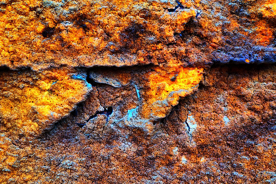 Rust abstract 9 Photograph by Lilia D