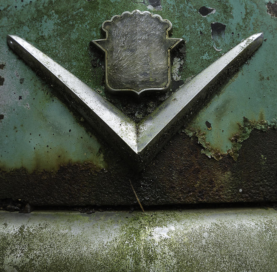 Atlanta Photograph - Rust And Green by Sally Simon