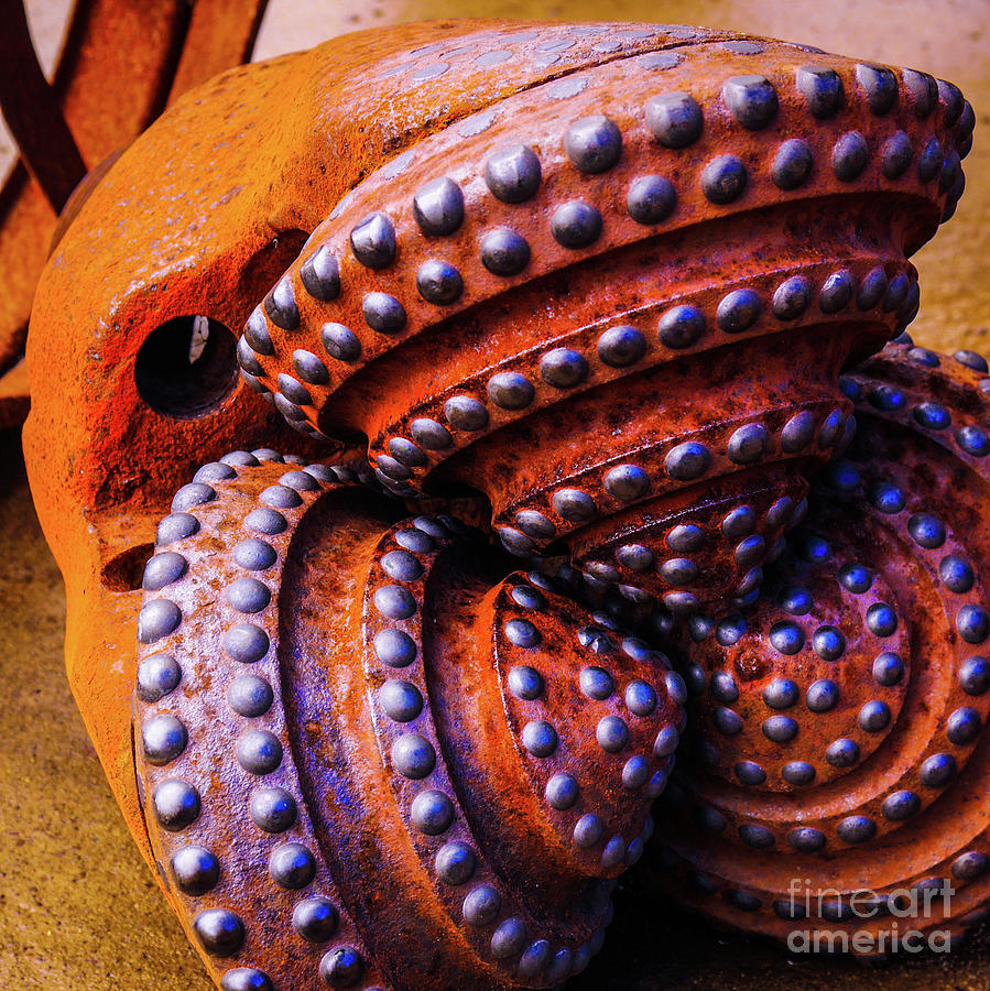 Rust and its Colours #2 Photograph by Lexa Harpell