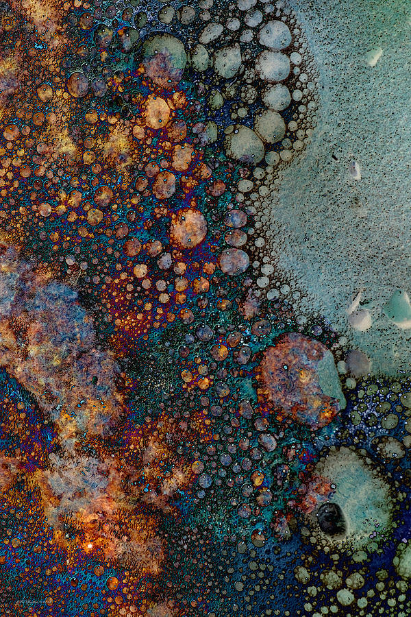 Rust Bubbles Photograph by WB Johnston