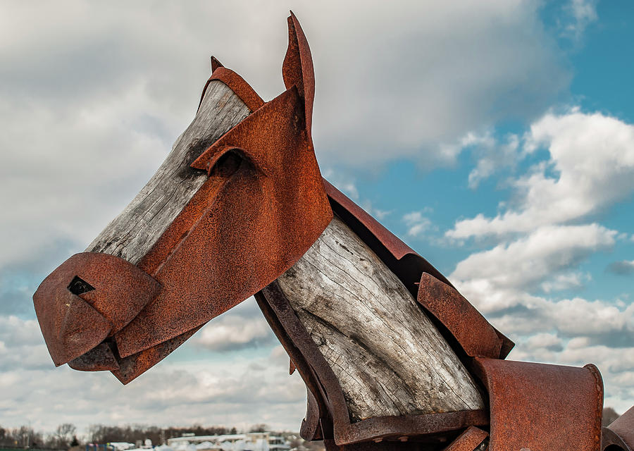 Rust Horse 2 Photograph by Rick Mosher