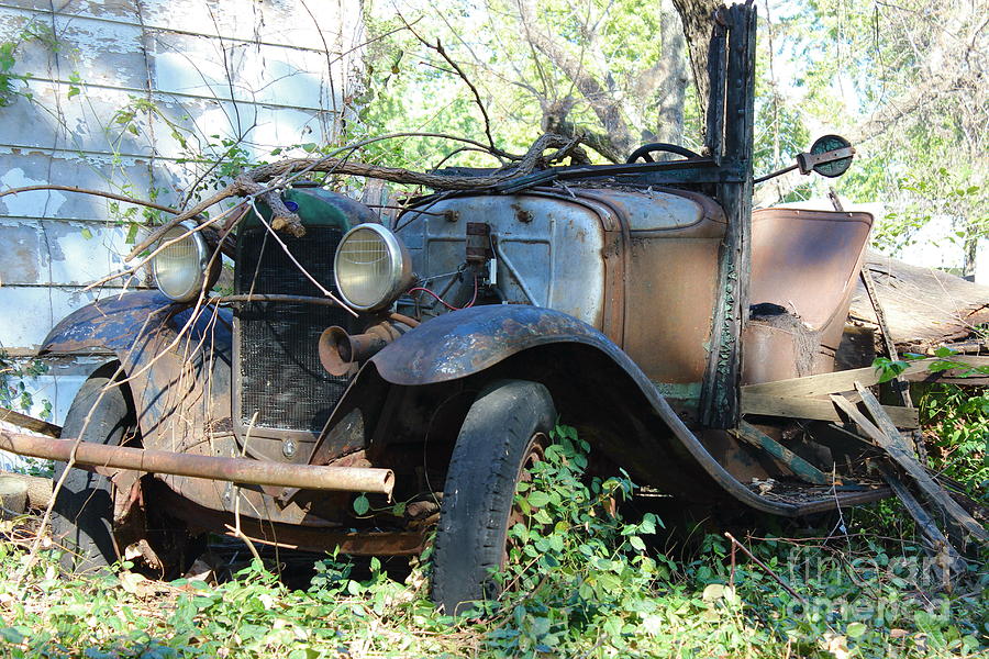 Rust In Piece Photograph by Tammy Miller | Fine Art America