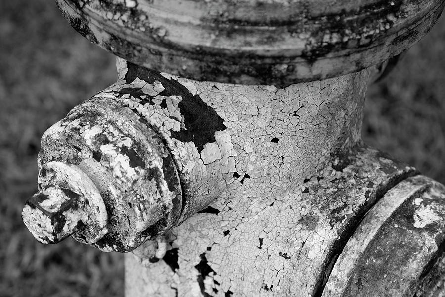 Black And White Photograph - Rust by Nancy Dinsmore