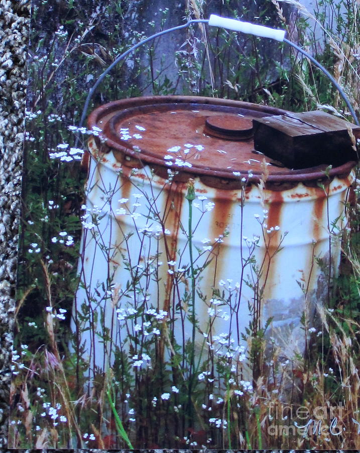 Rust Never Sleeps Photograph by Marie Neder
