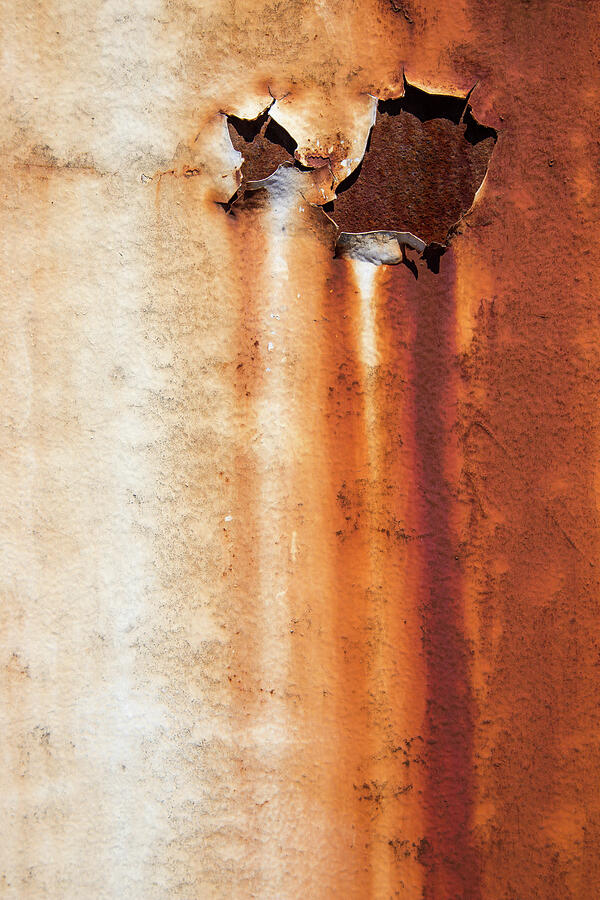 Rust On White Photograph by Karol Livote
