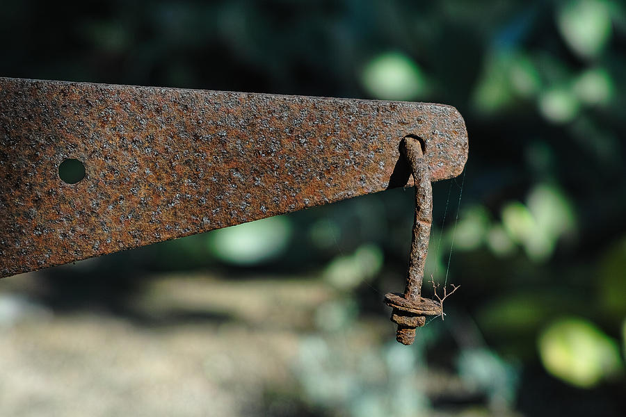 Rust by Peter Dyke Rust by Peter Dyke