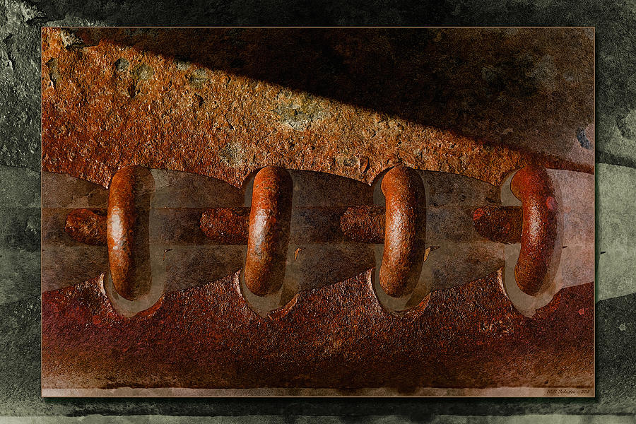 Rust Rings Photograph by WB Johnston
